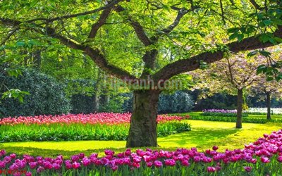 File tranh File tranh phong cảnh thiên nhiên PCN2159 (gốc) in film