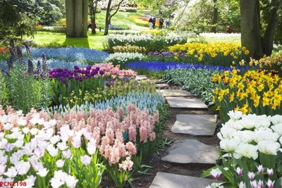 Tải file File tranh phong cảnh thiên nhiên PCN2198 (gốc) in trên mọi chất liệu