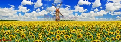 File tranh File tranh phong cảnh thiên nhiên PCN2210 (ảnh gốc) độc quyền