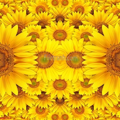 File tranh File tranh phong cảnh thiên nhiên PCN2214 (file gốc) chủ đề phong thủy