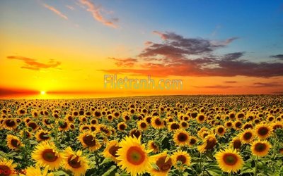 Download file ảnh gốc File tranh phong cảnh thiên nhiên PCN2216 để in ấn