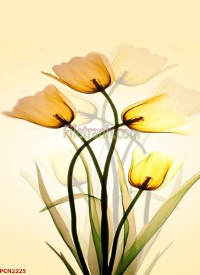 Tải file PSD File tranh phong cảnh thiên nhiên PCN2225 (nguyên layer) để in