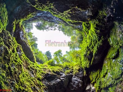 File gốc File tranh phong cảnh thiên nhiên PCN2231 (PNG) nền trong suốt