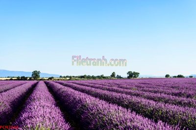 Tệp tin gốc File tranh phong cảnh thiên nhiên PCN2244 (dùng cho in ấn) chuyên nghiệp