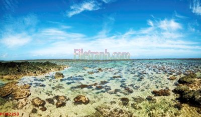 File tranh gốc File tranh phong cảnh thiên nhiên PCN2253 chủ đề hiện đại