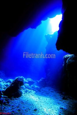 Tải file File tranh phong cảnh thiên nhiên PCN2267 (PSD) cho in ấn quảng cáo