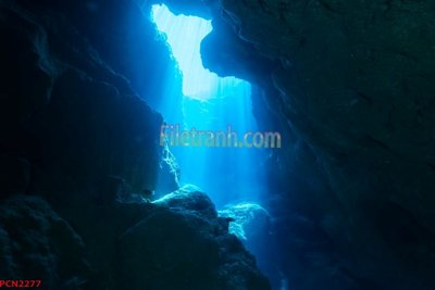 File gốc File tranh phong cảnh thiên nhiên PCN2277 (bản quyền) cho in ấn