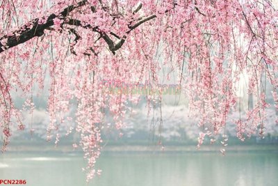 Hình ảnh file gốc File tranh phong cảnh thiên nhiên PCN2286 cho in UV