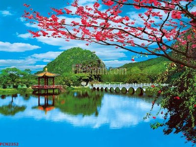 File tranh File tranh phong cảnh thiên nhiên PCN2352 (ảnh gốc) độ nét vượt trội