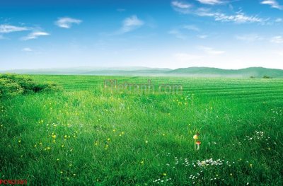 File gốc in ấn File tranh phong cảnh thiên nhiên PCN2381 chất lượng vượt trội