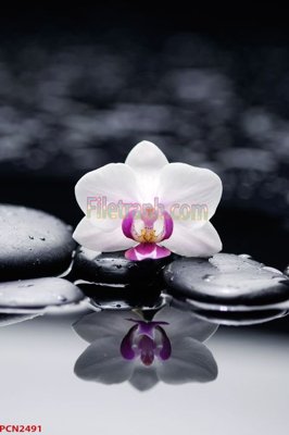 Tải file File tranh phong cảnh thiên nhiên PCN2491 (ảnh gốc) in gạch men