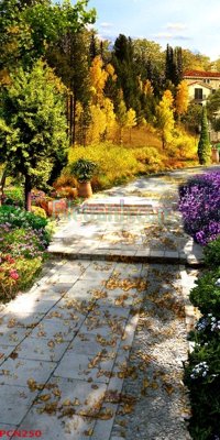 Hình ảnh gốc File tranh phong cảnh thiên nhiên PCN250 (để in khổ lớn)