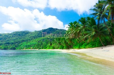 File ảnh File tranh phong cảnh thiên nhiên PCN2538 (gốc) in quảng cáo ngoài trời