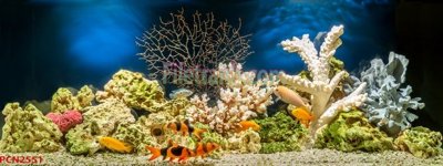 File ảnh File tranh phong cảnh thiên nhiên PCN2551 (gốc) in backdrop sự kiện