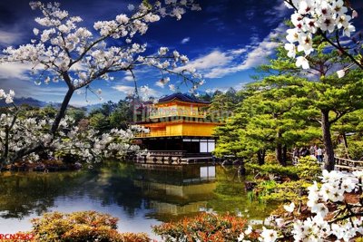 File in trần File tranh phong cảnh thiên nhiên PCN2552 (file gốc) xuyên sáng