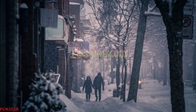 File in trần File tranh phong cảnh thiên nhiên PCN2558 (bản gốc) phong cảnh