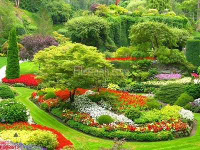 Tải file tranh File tranh phong cảnh thiên nhiên PCN2613 (ảnh gốc) ngay