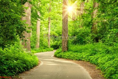 File tranh gốc File tranh phong cảnh thiên nhiên PCN2614 (bản quyền) file PSD