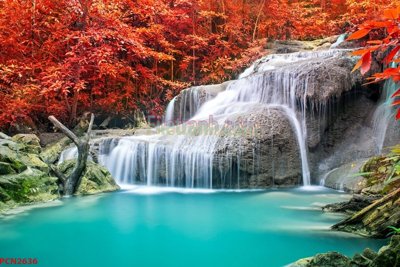 Tải file gốc File tranh phong cảnh thiên nhiên PCN2636 (in tráng gương) cao cấpFile gốc File tranh phong cảnh thiên nhiên PCN2636 (in ấn) phiên bản độc quyền