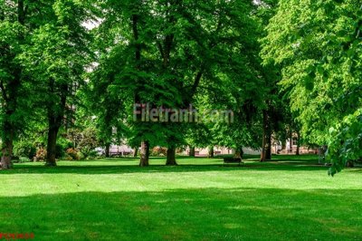 File tranh File tranh phong cảnh thiên nhiên PCN2659 (ảnh gốc) độ nét vượt trội