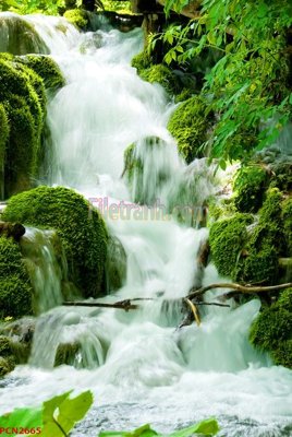 File gốc File tranh phong cảnh thiên nhiên PCN2665 (Filetranh.com) File tranh phong cảnh thiên nhiên PCN2665