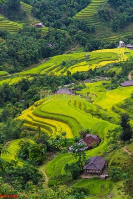 File ảnh File tranh phong cảnh thiên nhiên PCN2690 (gốc) cho trang trí nhà hàng