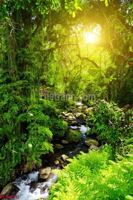 Tải file PSD File tranh phong cảnh thiên nhiên PCN270 (nguyên layer) để in