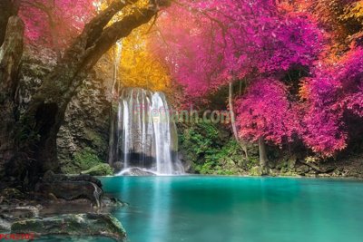 Mua file ảnh gốc File tranh phong cảnh thiên nhiên PCN2707 (chất lượng cao)