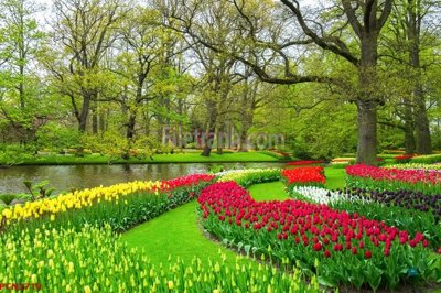 File in trần File tranh phong cảnh thiên nhiên PCN2719 (bản gốc) phong cảnh