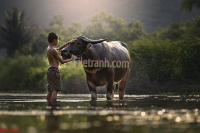 File gốc in ấn File tranh phong cảnh thiên nhiên PCN2724 độ phân giải cao