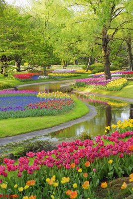 File gốc File tranh phong cảnh thiên nhiên PCN2726 (in ấn) màu sắc trung thực