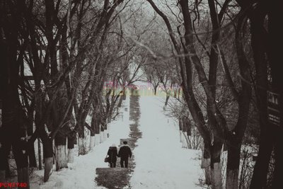 File tranh ảnh gốc File tranh phong cảnh thiên nhiên PCN2740 dùng cho in khổ lớn