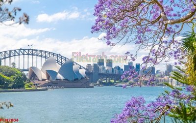 File tranh gốc in trần nhà File tranh phong cảnh thiên nhiên PCN2804 3D