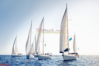 File gốc File tranh phong cảnh thiên nhiên PCN2819 (in ấn) màu sắc trung thực