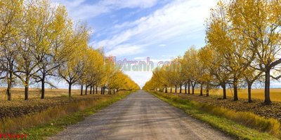 File tranh File tranh phong cảnh thiên nhiên PCN2821 (ảnh gốc) sắc nét hoàn hảo