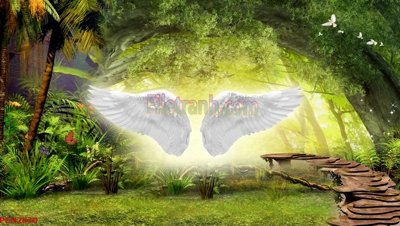 Ảnh gốc File tranh phong cảnh thiên nhiên PCN2830 (độ nét cao) in tráng gương