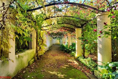 File ảnh File tranh phong cảnh thiên nhiên PCN2883 (gốc) cho trang trí nội thất