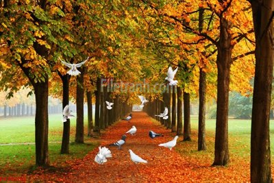 File in lụa File tranh phong cảnh thiên nhiên PCN300 (tân cổ điển) File tranh phong cảnh thiên nhiên PCN300