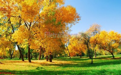 Tải file File tranh phong cảnh thiên nhiên PCN356 (ảnh gốc) in gạch men