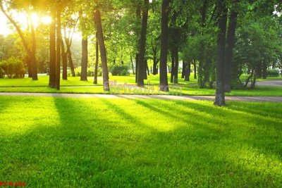 File gốc File tranh phong cảnh thiên nhiên PCN386 (in tráng gương) sang trọng