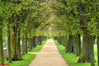 Tải file gốc File tranh phong cảnh thiên nhiên PCN409 (in khổ lớn) không vỡ