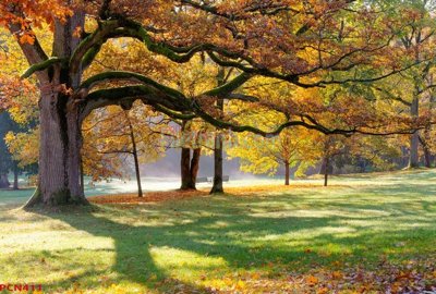 File in lụa File tranh phong cảnh thiên nhiên PCN411 (phong cảnh) File tranh phong cảnh thiên nhiên PCN411