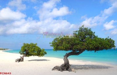 Download file ảnh gốc File tranh phong cảnh thiên nhiên PCN643 để in ấn