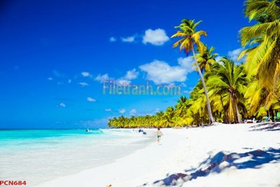 File tranh File tranh phong cảnh thiên nhiên PCN684 (gốc) in film