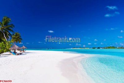 File tranh in mica File tranh phong cảnh thiên nhiên PCN699 (độ phân giải cao)