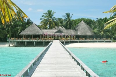 Tải file File tranh phong cảnh thiên nhiên PCN714 (gốc) làm tranh treo tường