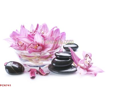 File tranh File tranh phong cảnh thiên nhiên PCN741 (bản gốc) trang trí văn phòng