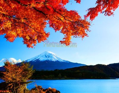 File in trần File tranh phong cảnh thiên nhiên PCN771 (bản gốc) 5D