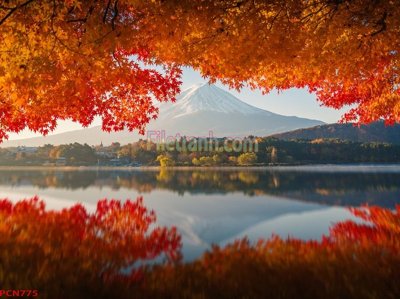 File gốc File tranh phong cảnh thiên nhiên PCN775 (PNG) nền trong suốt