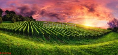 File tranh gốc File tranh phong cảnh thiên nhiên PCN784 chủ đề hiện đại